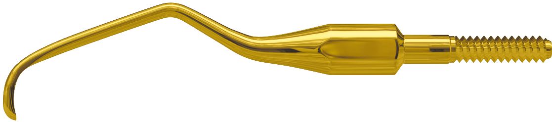 Goldfarbene American Eagle XP Gracey Quik-Tip Anterior Kürettenspitze für Zahnsteinentfernung.