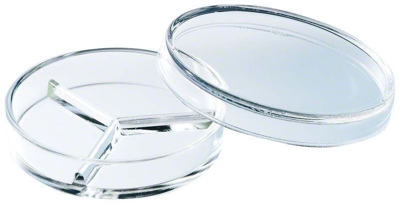 Petrischale aus Klarglas mit dreigeteilter Unterteilung.