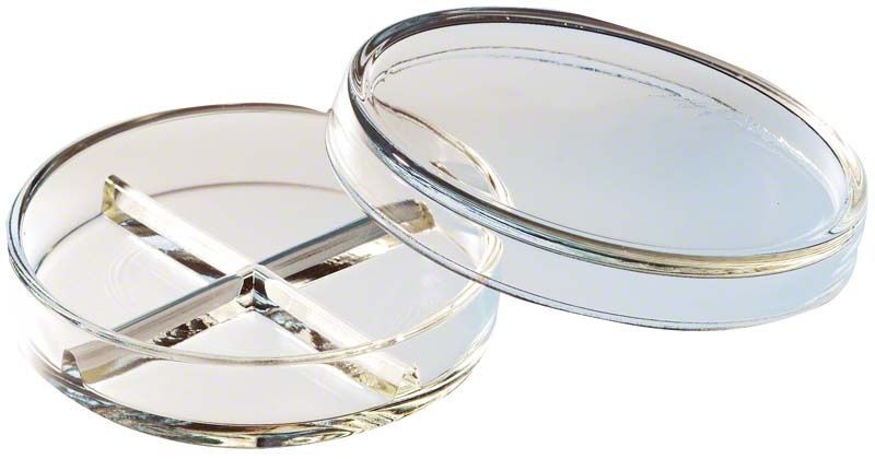 Petrischale aus Klarglas mit vierfachem Unterteil und abnehmbarem Deckel.
