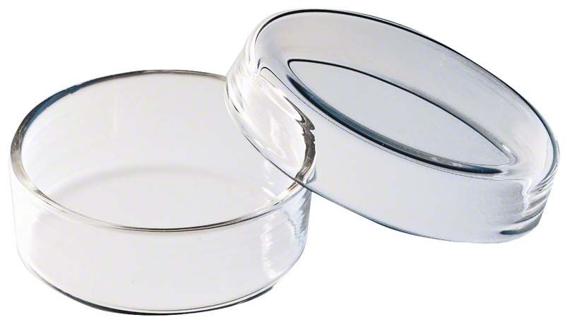 Petrischale aus klarem Glas mit abnehmbarem Deckel, 60mm Durchmesser.