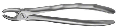 Zahnzange LiquidSteel® für OK Molaren rechts, aus rostfreiem Stahl.