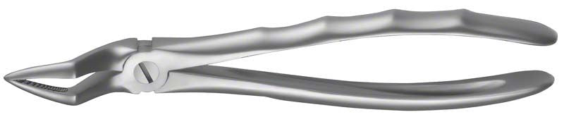 Zahnzange LiquidSteel® OK Wurzeln aus Edelstahl in Nahaufnahme.