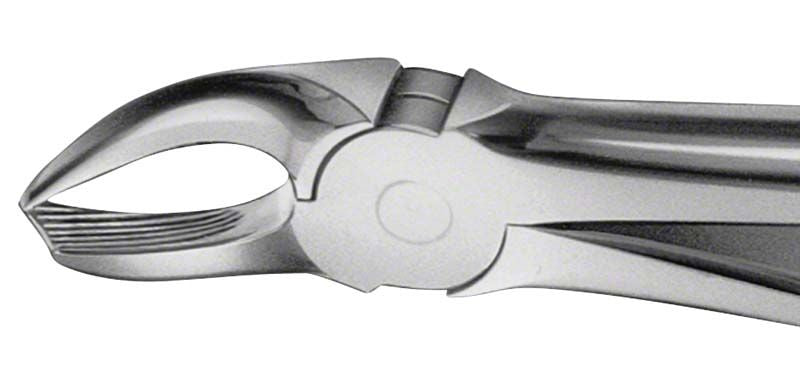 ANATOMICA Zahnzange für Extraktion von UK Eckzähnen und Prämolaren