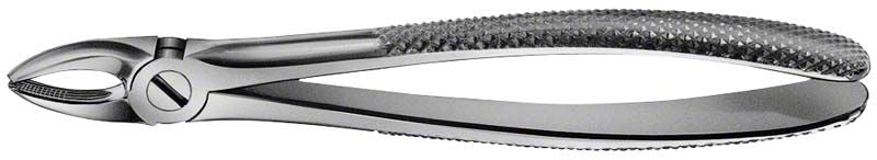 ANATOMICA Zahnzange für obere Schneide- und Eckzähne mit Haftprofil.