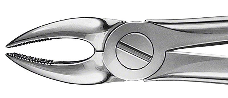 Hochwertige Zahnzange ANATOMICA BÜCHS für Schneide- und Eckzähne.