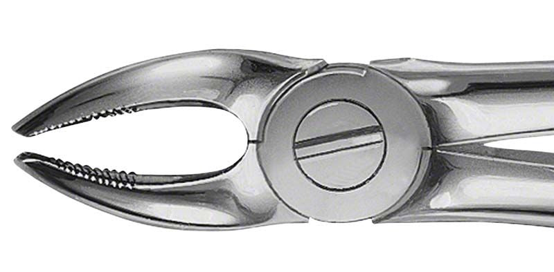 ANATOMICA Zahnzange BÜCHS für Oberkiefer-Prämolaren mit Haftprofil.