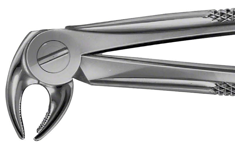 ANATOMICA Zahnzange BÜCHS für UK Eckzähne und Prämolaren in Nahaufnahme.