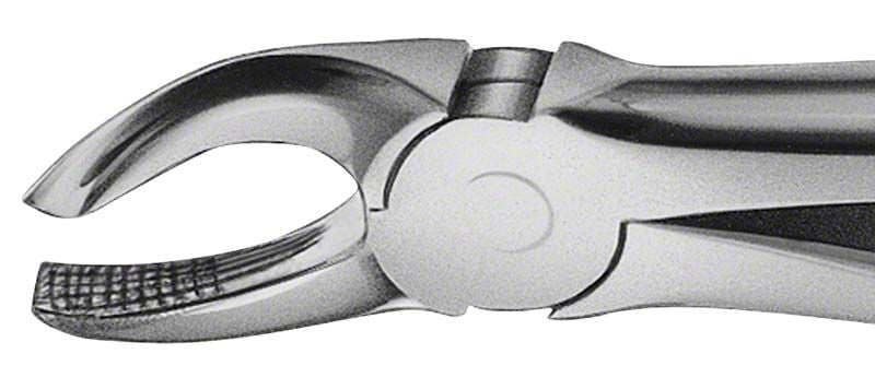 ANATOMICA Zahnzange BÜCHS für Oberkiefer-Molaren rechts mit Haftprofil.