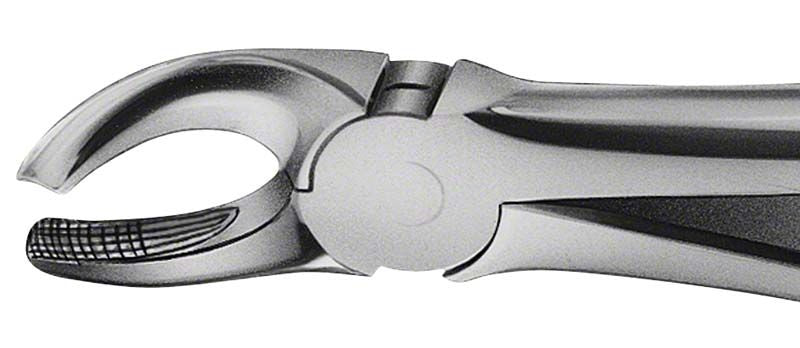 ANATOMICA Zahnzange BÜCHS für Oberkiefermolaren links, Detailansicht der Greiffläche.