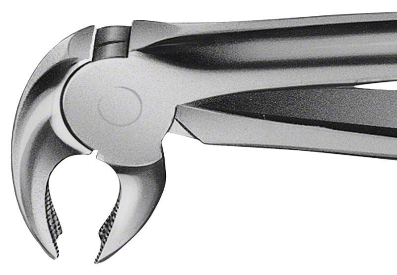 ANATOMICA Zahnzange BÜCHS für UK Molaren mit Haftprofil.