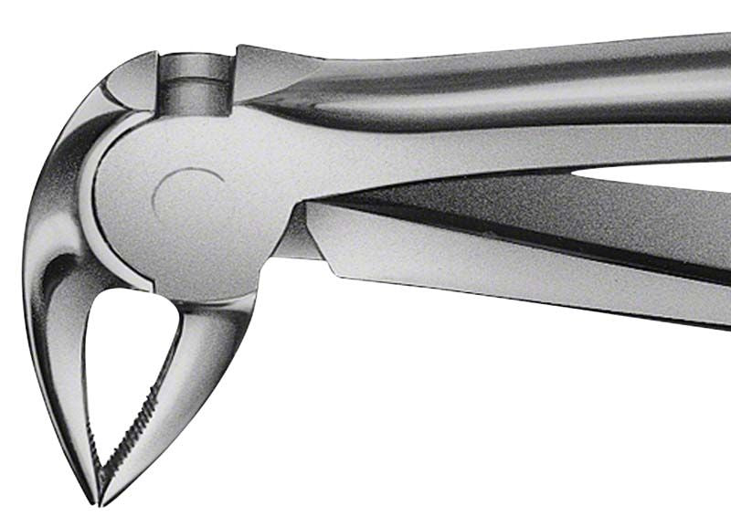 ANATOMICA Zahnzange BÜCHS Figur 33 A für untere Molaren.