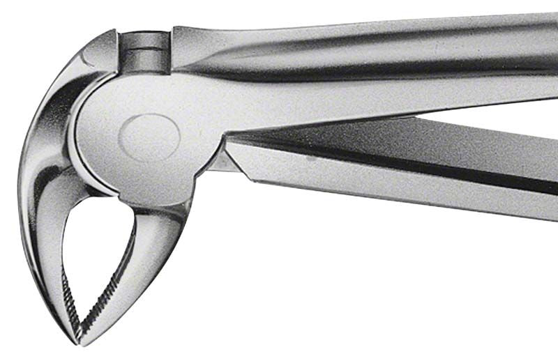 ANATOMICA Zahnzange BÜCHS Haftprofil Figur 33 für UK-Zahnentfernung