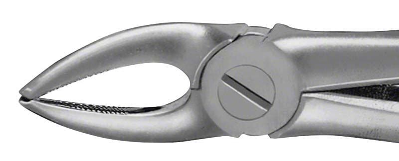 ANATOMICA Zahnzange BÜCHS Haftprofil Figur 136 für obere Prämolaren.