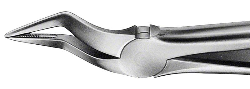 ANATOMICA Zahnzange BÜCHS Figur 51 A für obere Wurzelextraktion