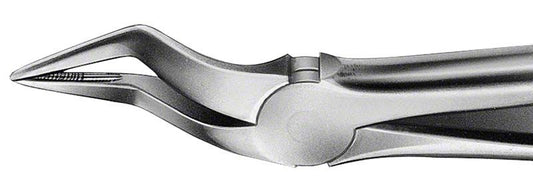 Image of ANATOMICA Zahnzange BÜCHS Haftprofil Figur 51 A - OK Wurzeln