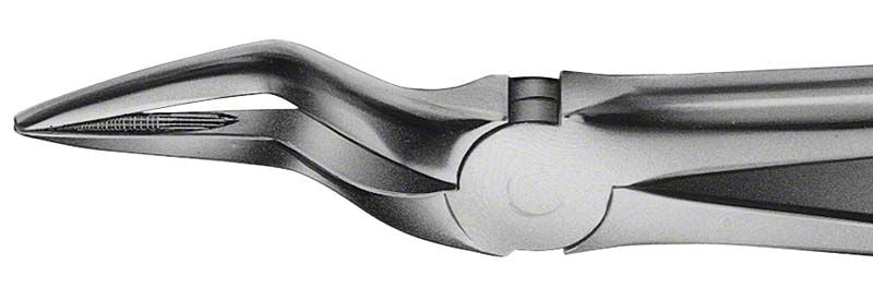 ANATOMICA Zahnzange BÜCHS Haftprofil für obere Wurzeln, Detailansicht.