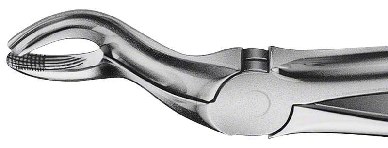 ANATOMICA Zahnzange BÜCHS für Oberkiefer-Weisheitszähne mit Haftprofil.