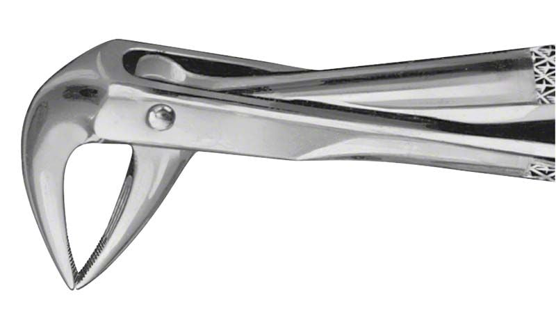 ANATOMICA Zahnzange BÜCHS Haftprofil Figur 74 für untere Molaren.