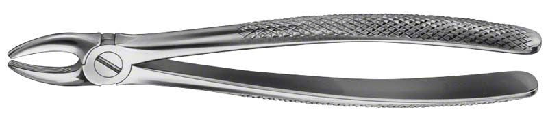 ANATOMICA Zahnzange Figur 2 für OK Schneide- und Eckzähne.