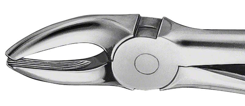 ANATOMICA Zahnzange Figur 7 für OK Prämolaren, Detailansicht.