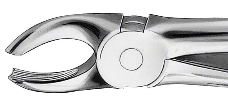 Anatomische Zahnzange Figur 17 für OK Molaren rechts in Nahaufnahme.