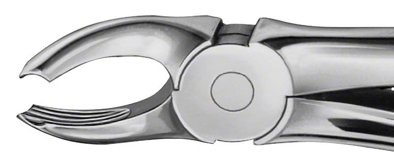 ANATOMICA Zahnzange Figur 18 A für OK Molaren, Detailansicht der Greifbacken.