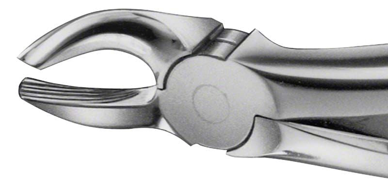 ANATOMICA Zahnzange für obere Molaren und Weisheitszähne, Detailansicht.