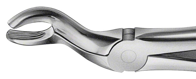 ANATOMICA Zahnzange für Weisheitszähne mit anatomischer Passform.