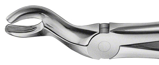 Image of ANATOMICA Zahnzange Figur 67 A - OK Weisheitszähne