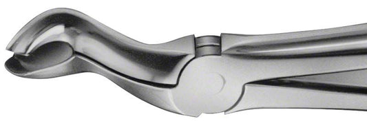 Image of ANATOMICA Zahnzange Figur 121 - OK Weisheitszähne