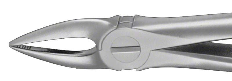 ANATOMICA Zahnzange KAISER für Frontzahnextraktion, präzisionsgefertigt aus hochwertigem Material.