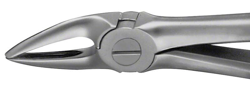 ANATOMICA Zahnzange Figur 30 für OK Wurzeln, metallisch glänzend.