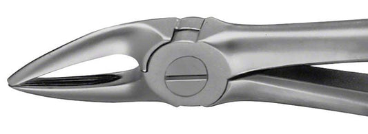 Image of ANATOMICA Zahnzange Figur 30 - OK Wurzeln
