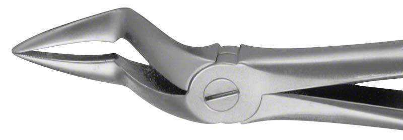 Anatomica Zahnzange KAISER für OK Wurzeln, präzisionsgefertigt aus Metall.