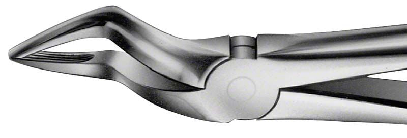 ANATOMICA Zahnzange Figur 51 für OK Wurzeln aus Edelstahl