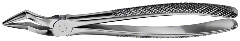 Präzisionsgefertigte ANATOMICA Zahnzange für UK Eckzähne und Prämolaren.