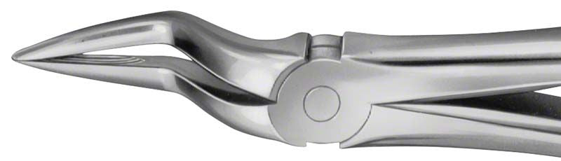 Zahnzange ANATOMICA aus Edelstahl für UK Eckzähne und Prämolaren.