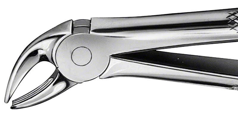 Anatomica Zahnzange Figur 4 für UK Schneidezähne in Nahaufnahme.