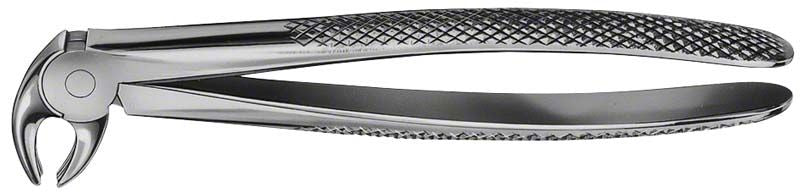 Anatomica Zahnzange Figur 13 für UK Eckzähne und Prämolaren.