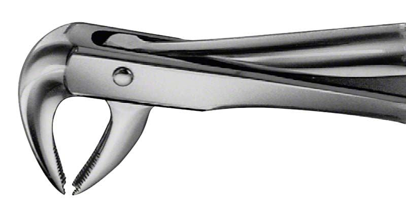 ANATOMICA Zahnzange für UK Eckzähne und Prämolaren, aus Edelstahl.