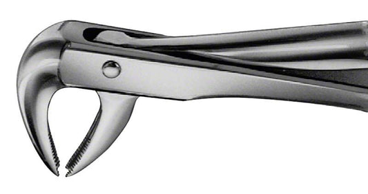 Image of ANATOMICA Zahnzange Figur 169 - UK Eckzähne & Prämolaren