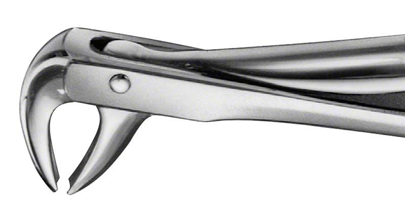 Zahnzange für UK Eckzähne und Prämolaren in Metalloptik.