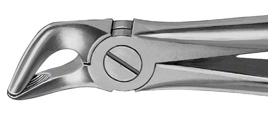 Image of ANATOMICA Zahnzange Figur 8 - UK Prämolaren
