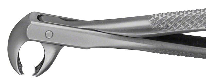 ANATOMICA Zahnzange Figur 73 für UK Molaren, aus Edelstahl.