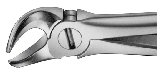 Image of ANATOMICA Zahnzange Figur 87 - Kuhhorn