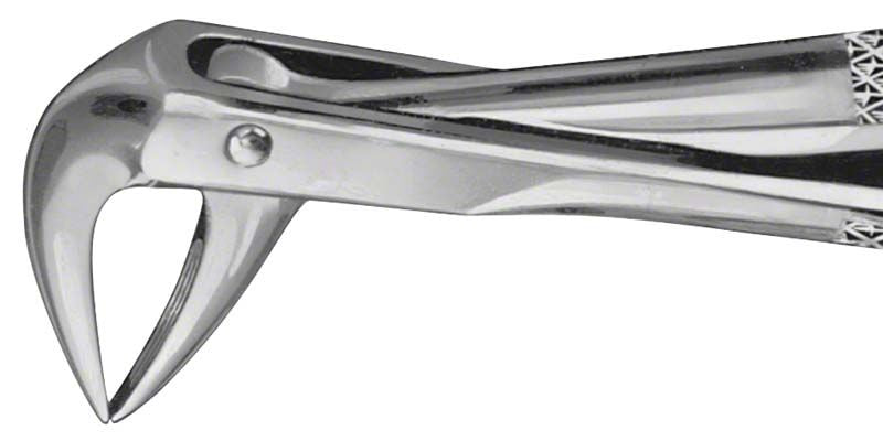 ANATOMICA Zahnzange Figur 74 für UK Wurzeln, Detailansicht der Greiffläche.