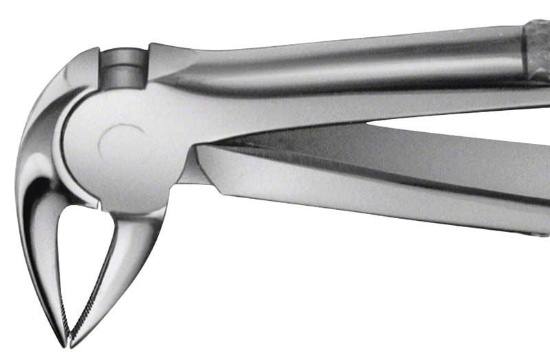 Anatomica Zahnzange Figur 33 A für UK Wurzeln in Nahaufnahme.