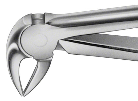 Image of ANATOMICA Zahnzange Figur 33 - UK Schneidezähne & Prämolaren