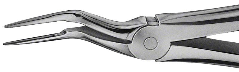 ANATOMICA Zahnzange Figur 97 mit feiner Spitze für OK Wurzeln