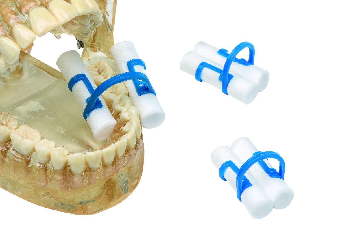 Zwei blaue Cotton-Clips auf Zahnarztmodell, einer separat daneben platziert.